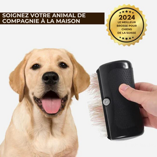 Brosse pour Chien - Spéciale Poils Soyeux !
