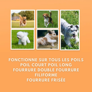 Brosse pour Chien - Spéciale Poils Soyeux !