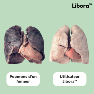 Filtres Anti Goudron (100 filtres) - Libora™