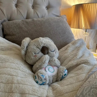 La Peluche Koala - Le compagnon Relaxant